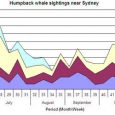 Best time for whale watching in Sydney Recently I wrote about best places for whale watching in Sydney, but most of you also interested to know when is the best time for whale watching. Whale migration season...