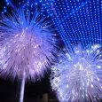 What’s on in Sydney in June. VIVID Sydney, Biennale of Sydney, Sydney Film festival, harbourside fireworks at Darling Harbour.