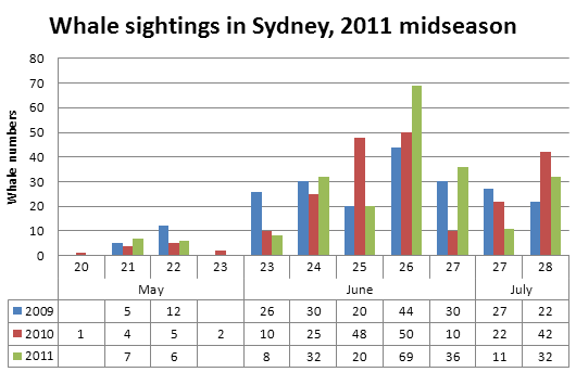 Whale sightings in Sydney, 2011 midseason update