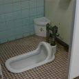 What is Japanese style toilet? I had the same question before my trip to Japan. During preparation for this trip I found there two styles  of toilets in Japan:  “Japanese” […]