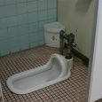 What is Japanese style toilet? I had the same question before my trip to Japan. During preparation for this trip I found there two styles  of toilets in Japan:  “Japanese”...