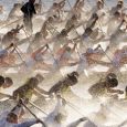 What’s on in Sydney in February, 2012 At last it is summer in Sydney and most people are spending their time on the beach or parks, but of course it doesn’t mean there is no events in...