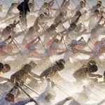 Sydney. Dragon boat race Sydney. Dragon boat race