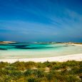 Top 5 underrated travel destinations: Calgary in Canada, Canberra in Australia, Formentera in Spain, Gdańsk in Poland, Siena in Italy.