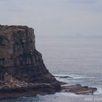 North Head in Sydney/Manly is good place for coastal whale watching