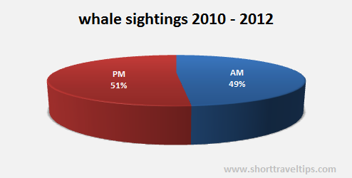 Morning and afternoon whale sightings in Sydney (2010-2012)