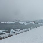MS Expedition in Neko Harbour, Antarctica