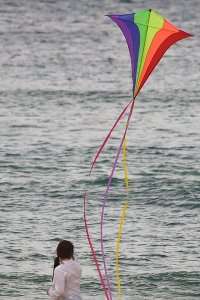Whats On: festival of the winds in Bondi this weekend