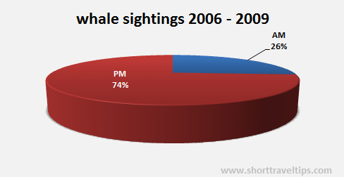 Morning and afternoon whale sightings in Sydney (2006-2009)