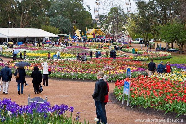 Floriade in Commonwealth Park in Canberra, Australia