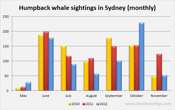 Monthly whale sightings in Sydney 2010-2012