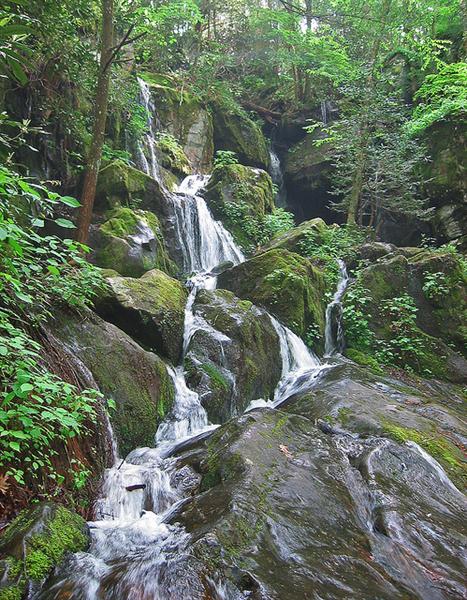 Place of a Thousand Drips, along the Roaring Fork Road, Great Smoky Mountains National Park