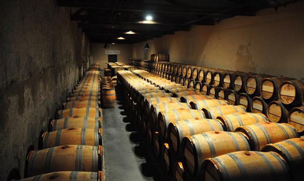 Wine cellar at Chateau Kirwan