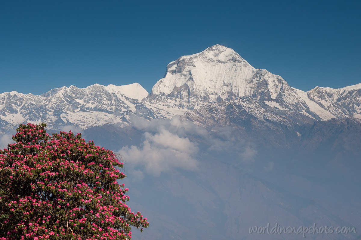 Weekly Travel Photo. Himalayas in Nepal