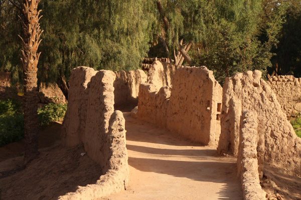 AlUla Oasis Heritage Trail